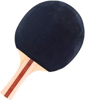 Alert table tennis bat 2 stars for kids - sports toy-3