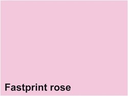 Quantore copy paper A4 pink 160gsm FSC eco label printer paper
