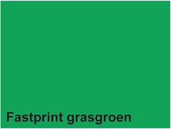 Quantore copy paper A4 grass green 160gsm FSC eco-friendly