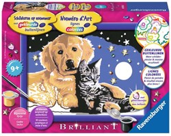 Ravensburger painting starry sky creative toy - paint by numbers set
