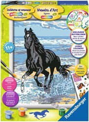 Ravensburger paint by numbers horse in the surf - creative hobby set
