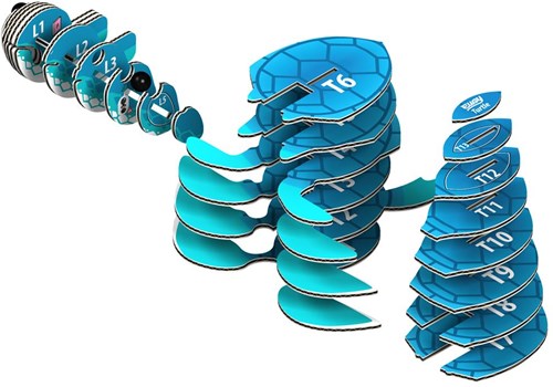 Eugy 3D puzzle turtle - eco-friendly cardboard animal kit-3