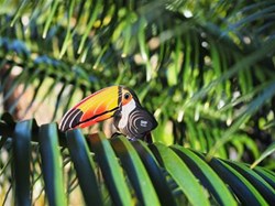 Eugy 3D puzzle toucan - cardboard animal craft kit for kids