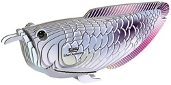 Eugy 3D puzzle - Silver Arowana cardboard animal craft kit