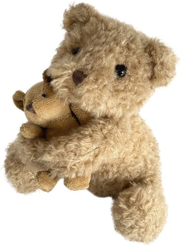 Egmont Toys plush bear Eustache with baby - soft cuddly toy 12x12x15 cm