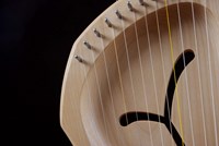 Auris musical instrument children's lyre 12 strings educational toy-2