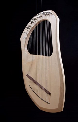 Auris lyre musical instrument chromatic 30 strings with case