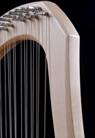 Auris lyre musical instrument chromatic 30 strings with case-2