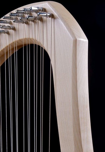 Auris lyre musical instrument chromatic 30 strings with case-2