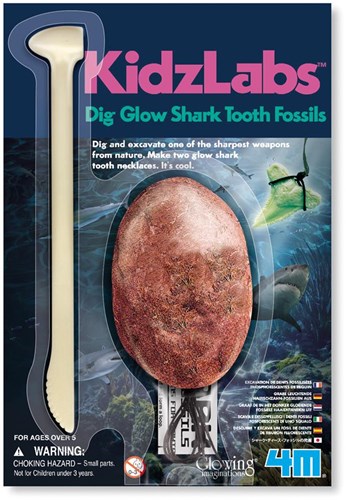 4M Dig & Play: Dig-YOU-HAAIENTAND-OP, plaster egg with 2 phosphorescent shark teeth, with digging tool and 2 neck leads, blister 22x15cm, 5+