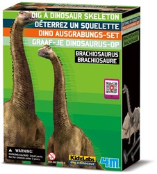 4M Graaf Je Dino Op - Brachiosaurus - FR + NL Versie