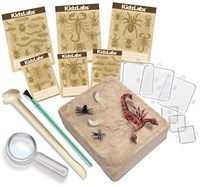 4M Digging kit Insects - French-2