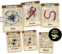 4M Digging kit Insects - French-3