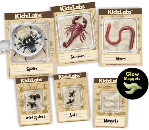 4M Digging kit Insects - French-3