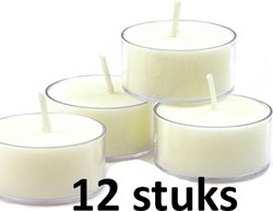 Bolsius Clear Cup maxi licht 8u doos 12