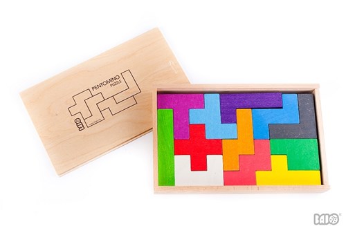 Bajo wooden pentomino puzzle educational toy spatial insight