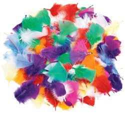 Colorations rainbow craft feathers set - 85 grams - colorful feathers
