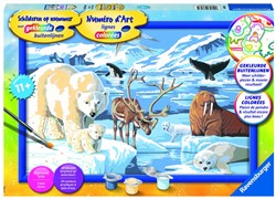 Ravensburger Painting on song Classic Series C On the ice