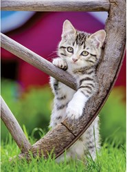 Ravensburger cats puzzle jigsaw 2 x 500 pieces cat fun