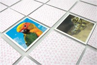 Tactic Animal Babies memory game - educational card game for kids-3