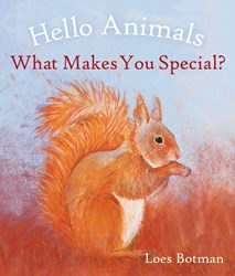Mercurius animals book board book colorful toddlers baby toy
