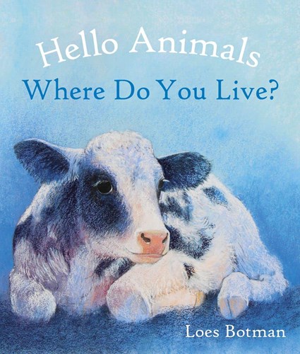 Mercurius animal book board book colorful for toddlers and preschoolers