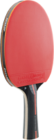 Dunlop table tennis bat Blackstorm - ITTF approved rubber - beginners