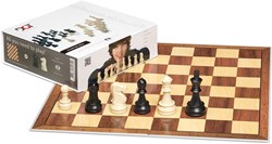 DGT chess set cardboard board and plastic pieces in grey box
