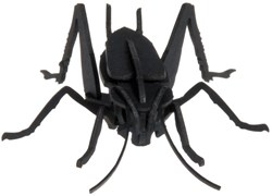 FRIDOLIN 3D Paper Model - Cricket