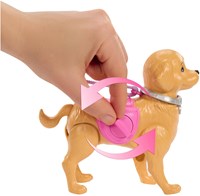 Barbie doll dog walking playset with accessories and puppy-3