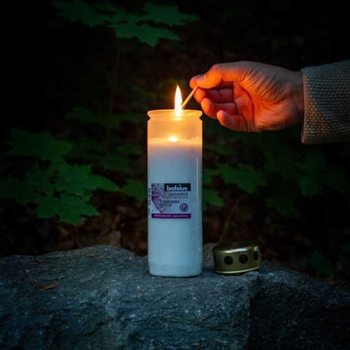 Bolsius memorial candle grave light red with lid 50 hours outdoor-3
