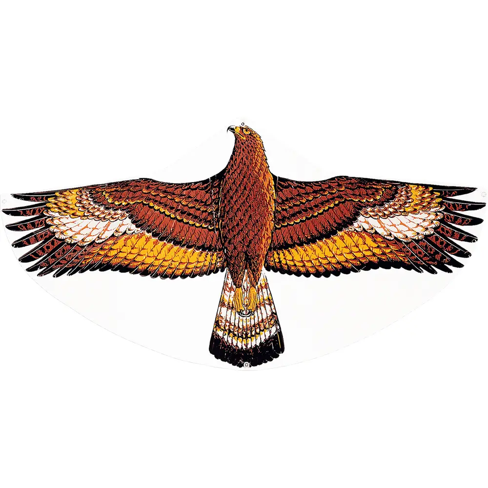 Günther kids kite golden eagle 122x68cm kite for children