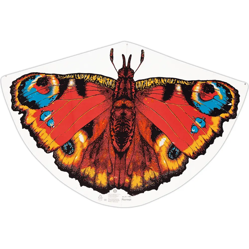 Günther kite butterfly - colourful single-line kite for kids 92x62cm