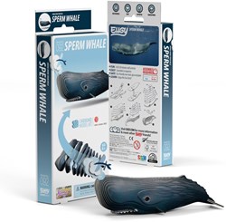 EUGY EUGY 3D - Sperm Whale