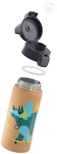 SIGG water bottle Rawfood 0.5 liter - durable aluminium - multicolor