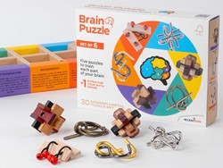 Recent Toys Brain Puzzle Set of 6