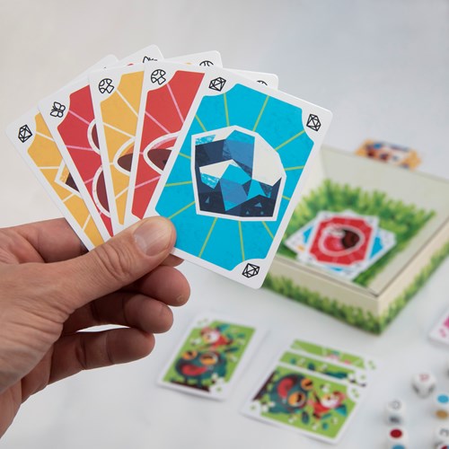 HOT Exclusive card game DIBS dice game family game for kids-2
