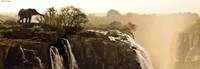 Heye jigsaw puzzle elephant 1000 pieces panorama animal puzzle