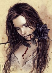 Heye Puzzle Dark Rose, French 1000