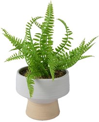 Decoris artificial fern plant - decorative plant in plastic pot 24cm green