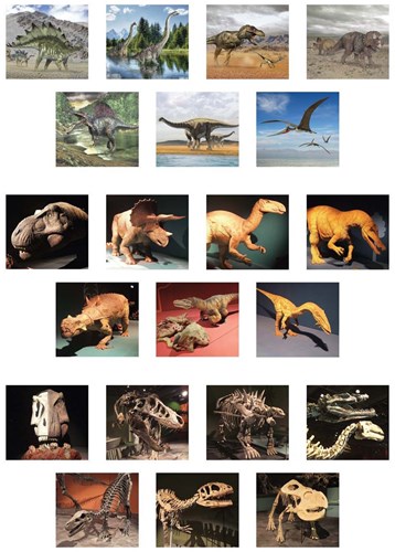 Ambo 3D toy viewer dinosaur educational cardboard-3