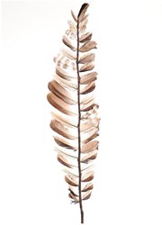 HBX natural living decorative feathers 60cm colorful toy