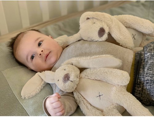 Happy Horse cuddly bunny Richie - beige - 28 cm - plush toy-3