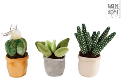 Plush plant cuddly toy - Take Me Home - 12-17cm - decoration