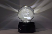 Atmosphere lighting LED Sea Life decoration with USB-C cable 8x8x12.5cm