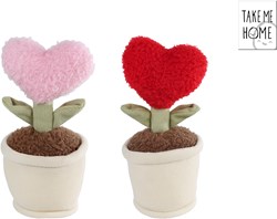 Van Manen plush cuddly heart plant Take Me Home 17cm decorative toy