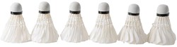 Engelhart 6 Shuttles feathers white in tube 4,5-5 grams