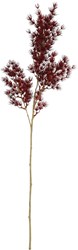 Countryfield artificial flower Asparagus bordeaux decorative stem 73cm