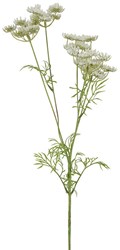 Countryfield artificial flower decoration Anethum white 80cm artificial stem