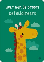 Bora Shop jungle card - How big you are - cheerful postcard